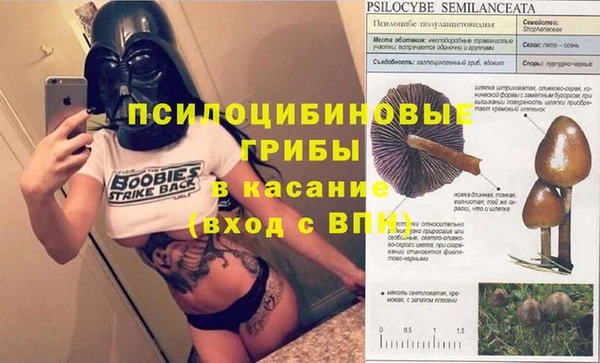 гидра Балабаново
