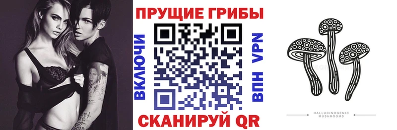 Псилоцибиновые грибы Psilocybine cubensis  где купить наркоту  Крымск 